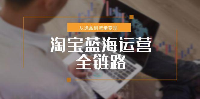 淘宝蓝海运营全链路，从选品到流量变现，小类目突围完整方案-卿云社