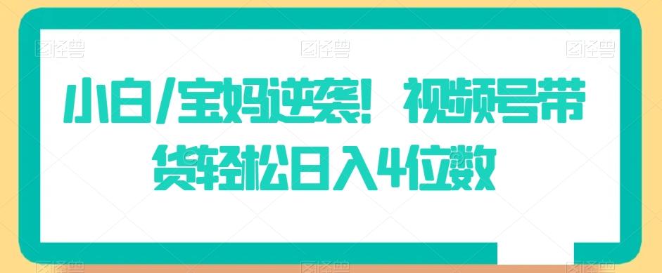 小白/宝妈逆袭！视频号带货轻松日入4位数【揭秘】-卿云社