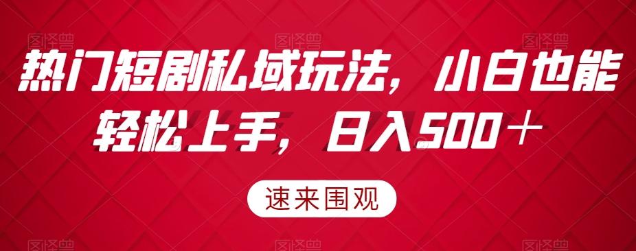 热门短剧私域玩法，小白也能轻松上手，日入500＋-卿云社