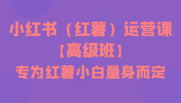 小红书(红薯)运营课【高级班】，专为红薯小白量身而定(42节课)-卿云社