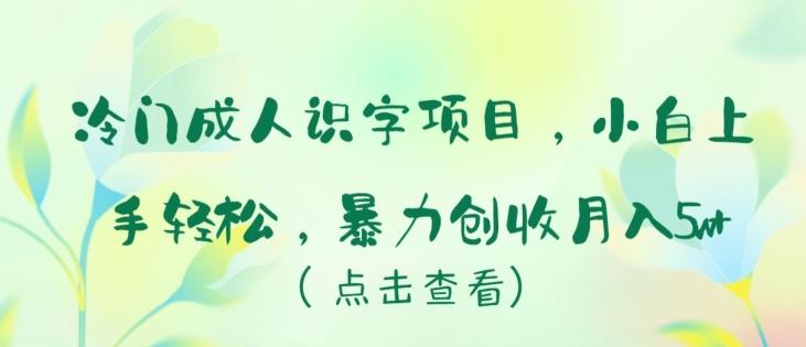 冷门成人识字项目，小白上手轻松，暴力创收月入5w+【揭秘】-卿云社