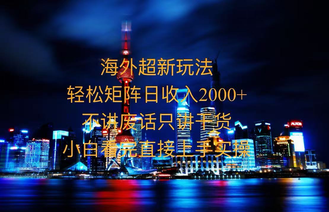 2025全新海外暴力玩法，操作简单，小白轻松上手-卿云社