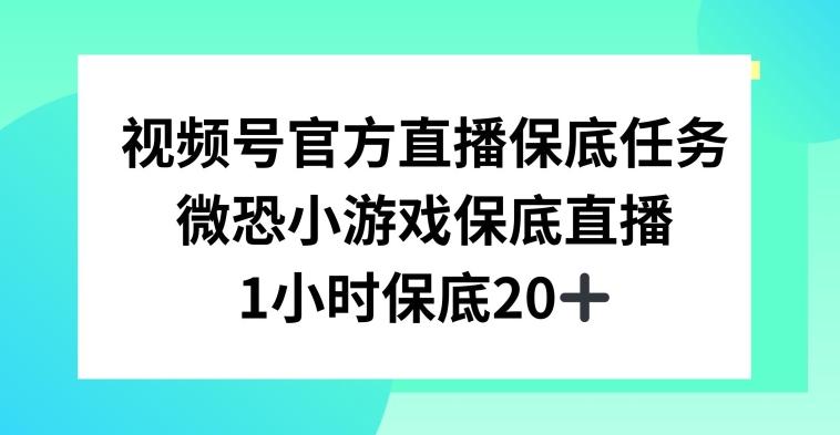 视频号直播任务，微恐小游戏，1小时20+【揭秘】-卿云社