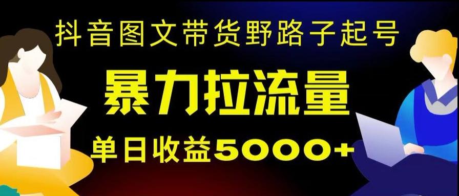 抖音图文带货暴力起号，单日收益5000+，野路子玩法，简单易上手，一部手机即可【揭秘】-卿云社