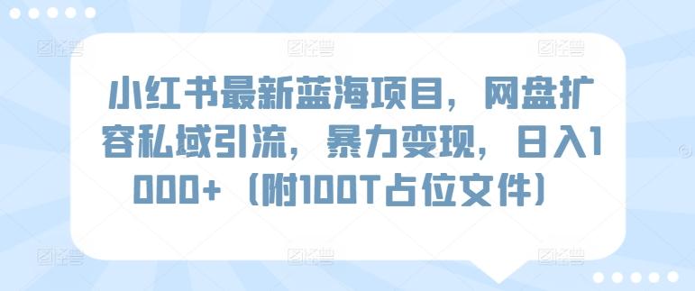 小红书最新蓝海项目，网盘扩容私域引流，暴力变现，日入1000+(附100T占位文件)【揭秘】-卿云社