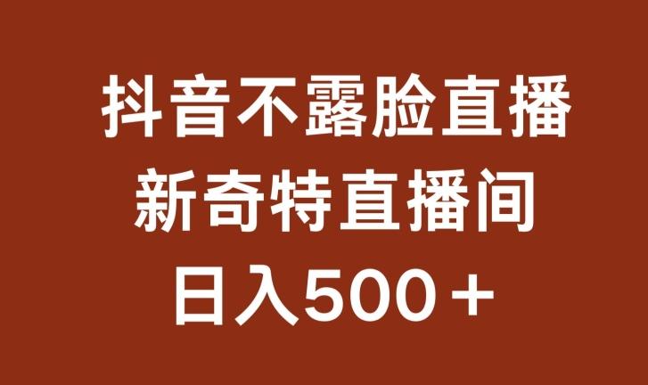 不露脸挂机直播，新奇特直播间，日入500+【揭秘】-卿云社