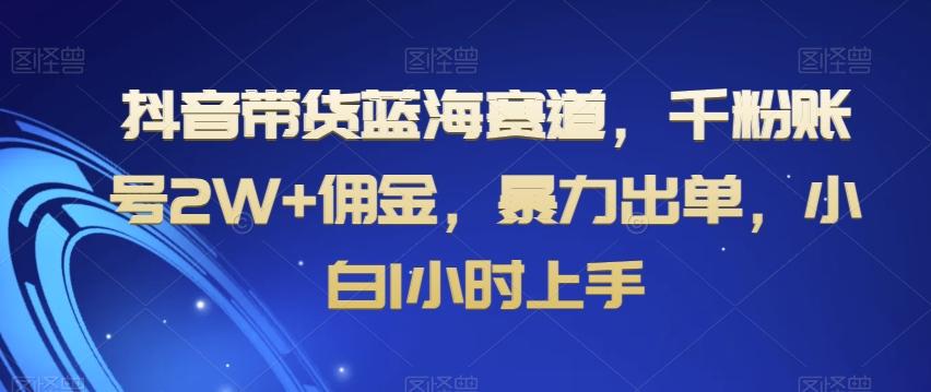 抖音带货蓝海赛道，千粉账号2W+佣金，暴力出单，小白1小时上手【揭秘】-卿云社