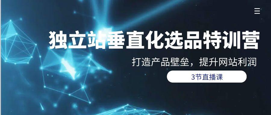 (9925期)独立站-垂直化选品训练营，打造产品壁垒，提升网站利润(3节直播课)-卿云社