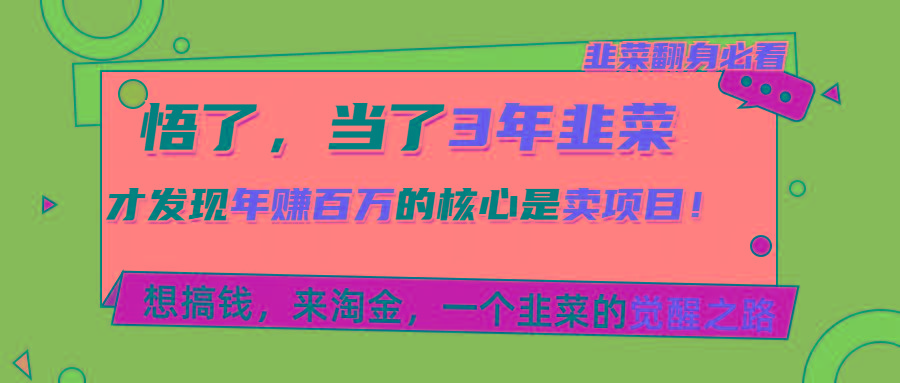 悟了，当了3年韭菜，才发现网赚圈年赚100万的核心是卖项目，含泪分享！-小艾项目网
