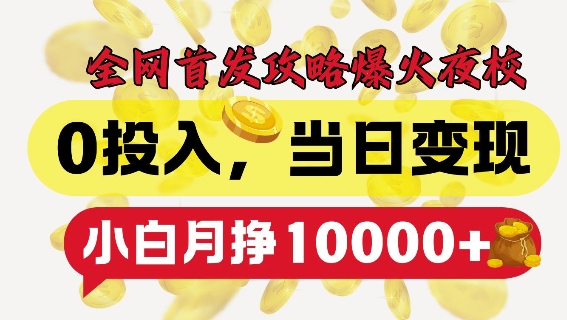 全网首发爆火夜校，0投入，当日变现，小白轻松月入1w+【揭秘】-卿云社