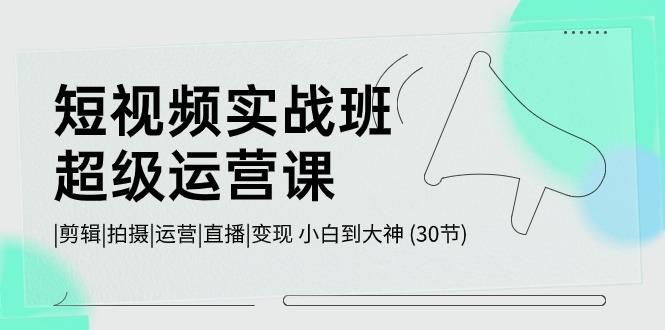 短视频实战班超级运营课 |剪辑|拍摄|运营|直播|变现 小白到大神 (30节)-卿云社