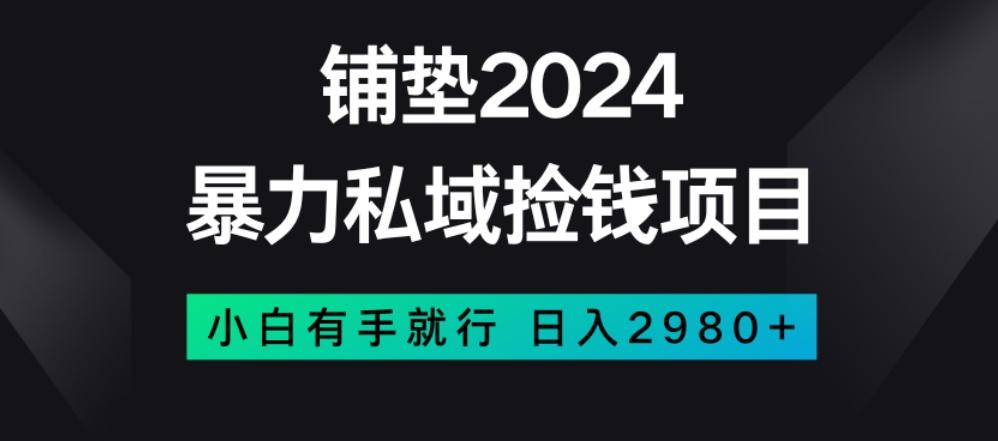 暴力私域捡钱项目，小白无脑操作，日入2980【揭秘】-卿云社