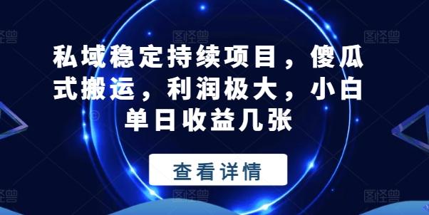 私域稳定持续项目，傻瓜式搬运，利润极大，小白单日收益几张【揭秘】-卿云社