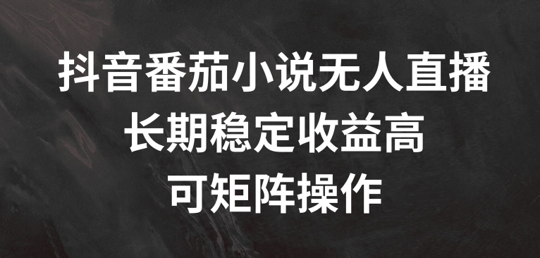抖音番茄小说无人直播，长期稳定收益高，可矩阵操作【揭秘】-卿云社