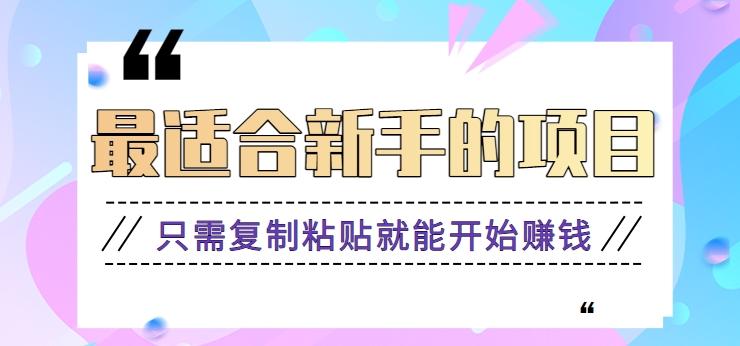 2024最适合新手操作的项目，新手小白只需复制粘贴就能开始赚钱【视频教程+软件】-卿云社