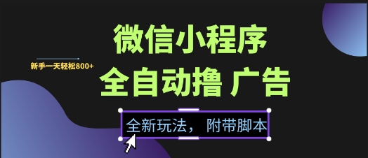 微信小程序全自动撸广告项目，彻底解决没流量的问题，新手一天8张+【揭秘】-卿云社