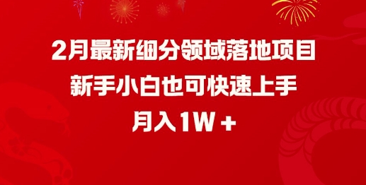 2月最新细分领域落地项目，新手小白也可快速上手，月入1W-卿云社