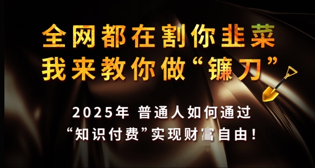 全网都在割你韭菜，我来教你做镰刀，2025年普通人如何通过 知识付费 实现财F自由【揭秘】-卿云社