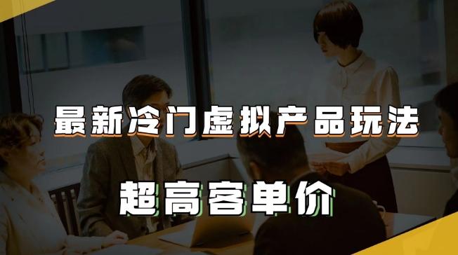 最新冷门虚拟产品玩法，超高客单价，月入2-3万＋【揭秘】-卿云社
