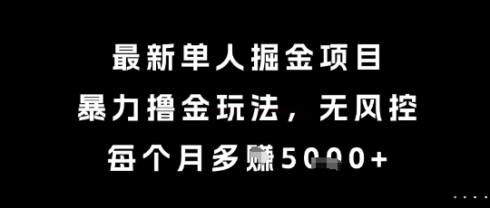 最新单人掘金项目，暴力撸金玩法，无风控，每个月多挣5k+【揭秘】-卿云社
