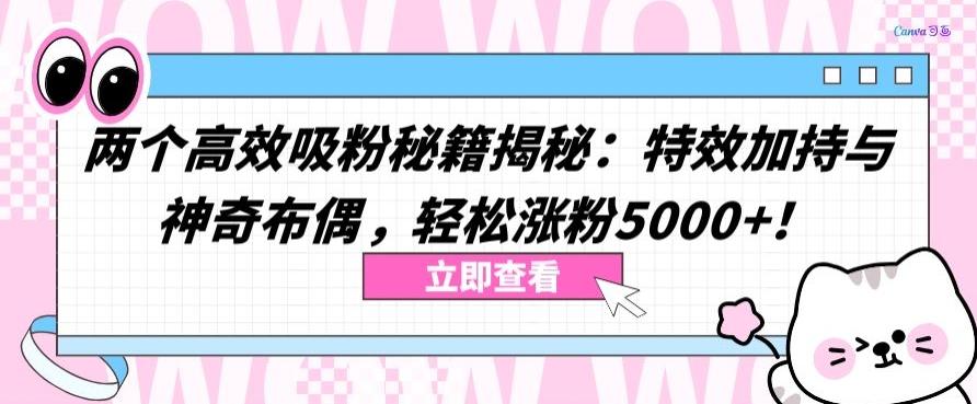 两个高效吸粉秘籍揭秘：特效加持与神奇布偶，轻松涨粉5000+【揭秘】-卿云社
