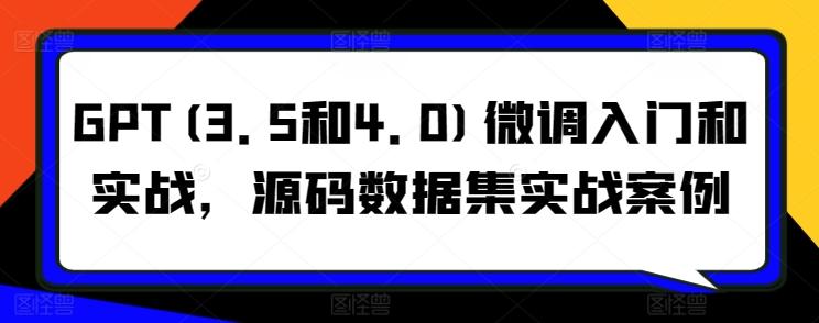 GPT(3.5和4.0)微调入门和实战，源码数据集实战案例-卿云社
