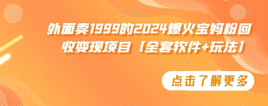 外面卖1999的2024爆火宝妈粉回收变现项目【全套软件+玩法】【揭秘】-卿云社