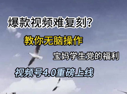 视频号4.0重磅上线，爆款视频难复刻？教你无脑操作宝妈学生党的福利【揭秘】-卿云社