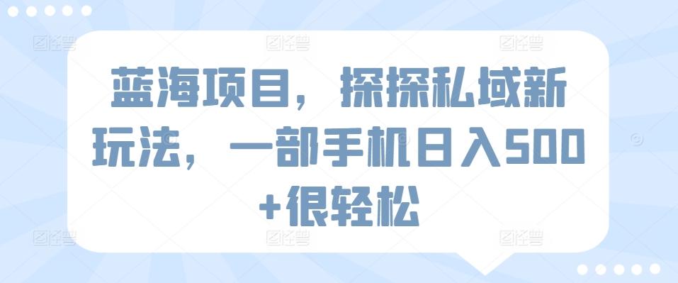 蓝海项目，探探私域新玩法，一部手机日入500+很轻松【揭秘】-卿云社