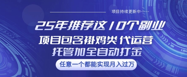 25年推荐这10个副业项目包含褂鸡类、代运营托管类、全自动打金类【揭秘】-卿云社