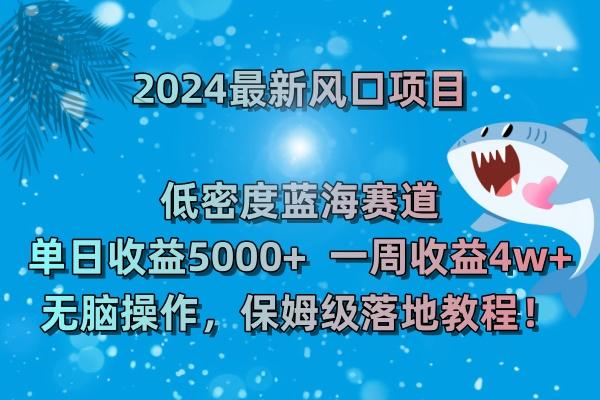 (8545期)2024最新风口项目 低密度蓝海赛道，日收益5000+周收益4w+ 无脑操作，保…-卿云社