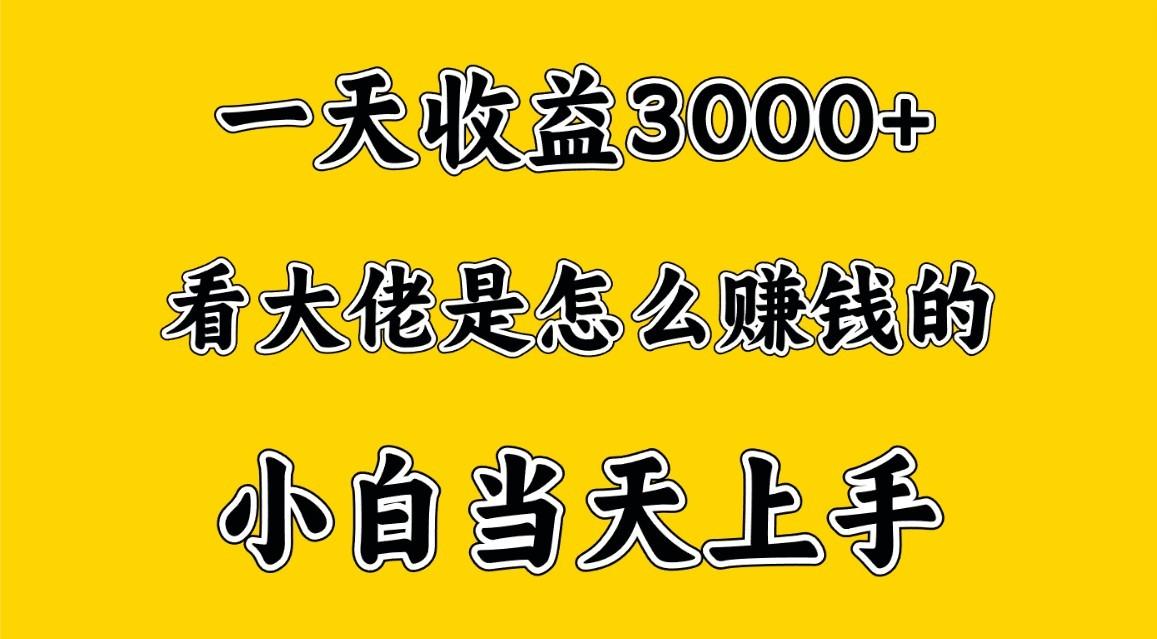 一天赚3000多，大佬是这样赚到钱的，小白当天上手，穷人翻身项目-卿云社