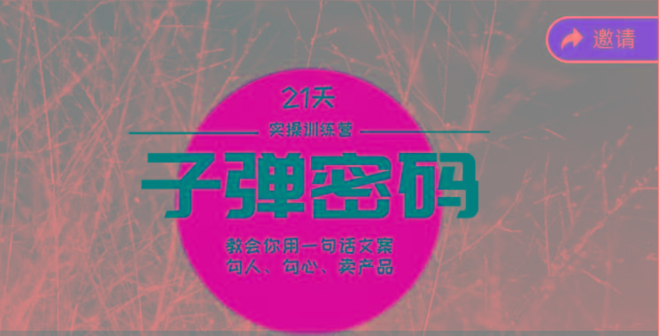 《子弹密码训练营》-用一句话文案勾人勾心卖产品，21天学到顶尖文案大师策略和技巧-卿云社