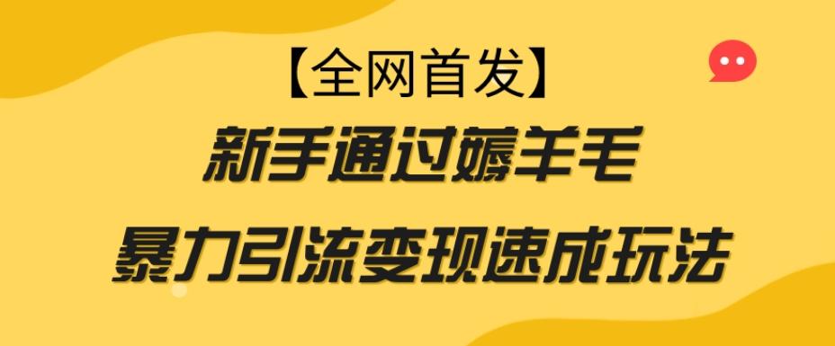 【全网首发】新手通过薅羊毛暴力引流变现速成玩法-卿云社