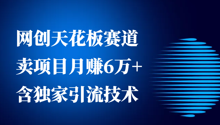 网创天花板赛道，卖项目月赚6万+，含独家引流技术(共26节课)-卿云社