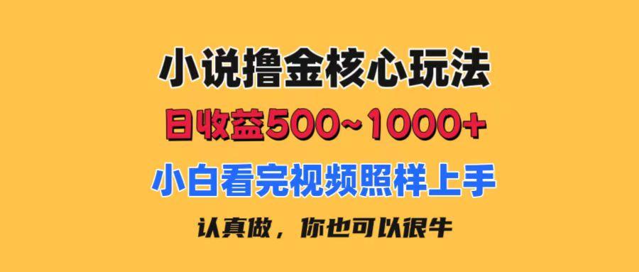 小说撸金核心玩法，日收益500-1000+，小白看完照样上手，0成本有手就行-卿云社