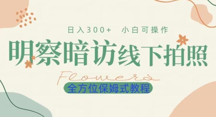 明拍暗拍项目0成本投入日入300+小白可操作保姆式全方位教程-卿云社
