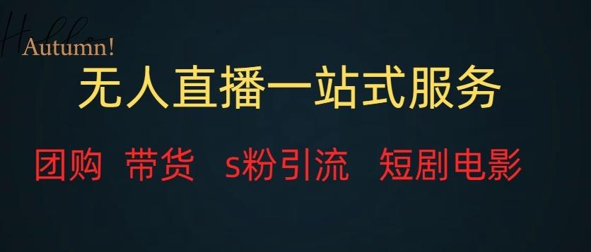 无人直播一站式服务（教程以及变现方式）-卿云社