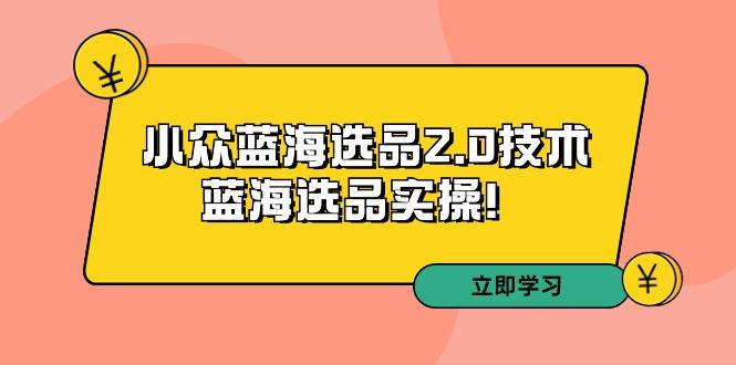 拼多多培训第33期：小众蓝海选品2.0技术-蓝海选品实操！-卿云社