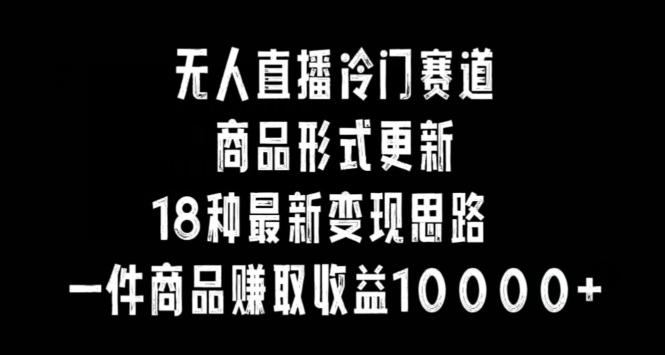 无人直播冷门赛道，商品形式更新，18种变现思路，一件商品赚取收益10000+【揭秘】-卿云社