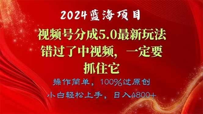 2024蓝海项目，视频号分成计划5.0最新玩法，错过了中视频，一定要抓住…-卿云社
