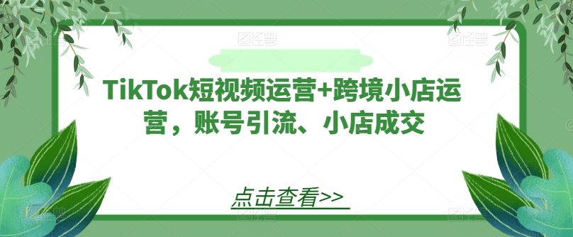 TikTok短视频运营+跨境小店运营，账号引流、小店成交-卿云社