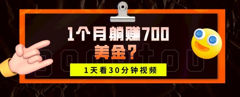 1天看30分钟视频，1个月躺赚700美金？-卿云社