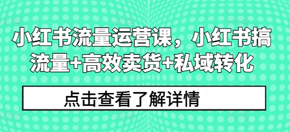 小红书流量运营课，小红书搞流量+高效卖货+私域转化-卿云社