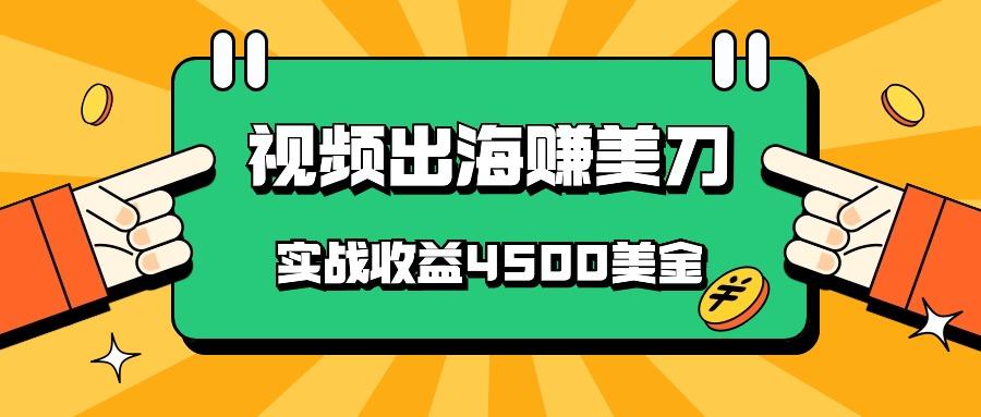 国内爆款视频出海赚美刀,实战收益4500美金,批量无脑搬运,无需经验直接上手-卿云社