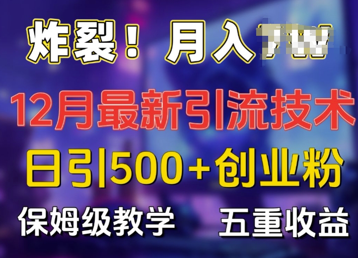 炸裂!揭秘12月最新日引流500+精准创业粉，多重收益保姆级教学-卿云社
