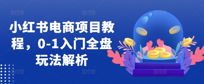 小红书电商项目教程，0-1入门全盘玩法解析-卿云社