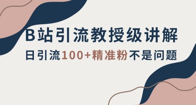 B站引流教授级讲解，细节满满，日引流100+精准粉不是问题【揭秘】-卿云社