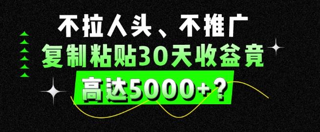 不拉人头、不推广，复制粘贴30天收益竟高达5000+？-卿云社