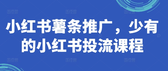 小红书薯条推广,少有的小红书投流课程